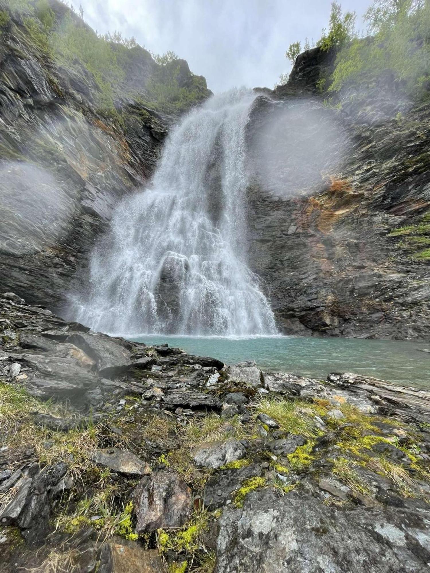 Lyngen *