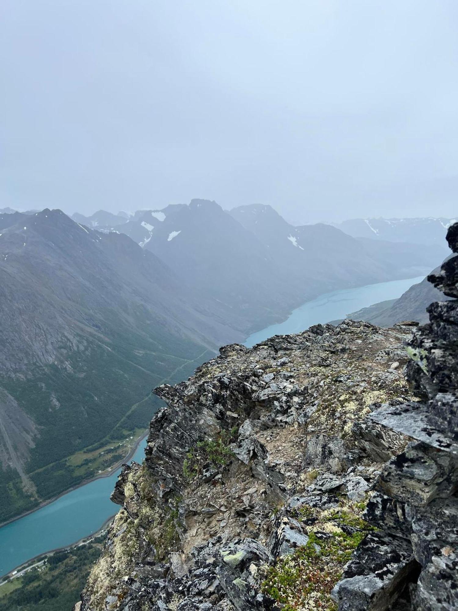 Lyngen