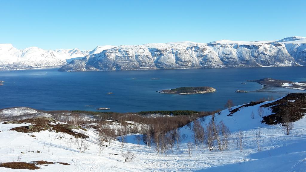 Lyngen