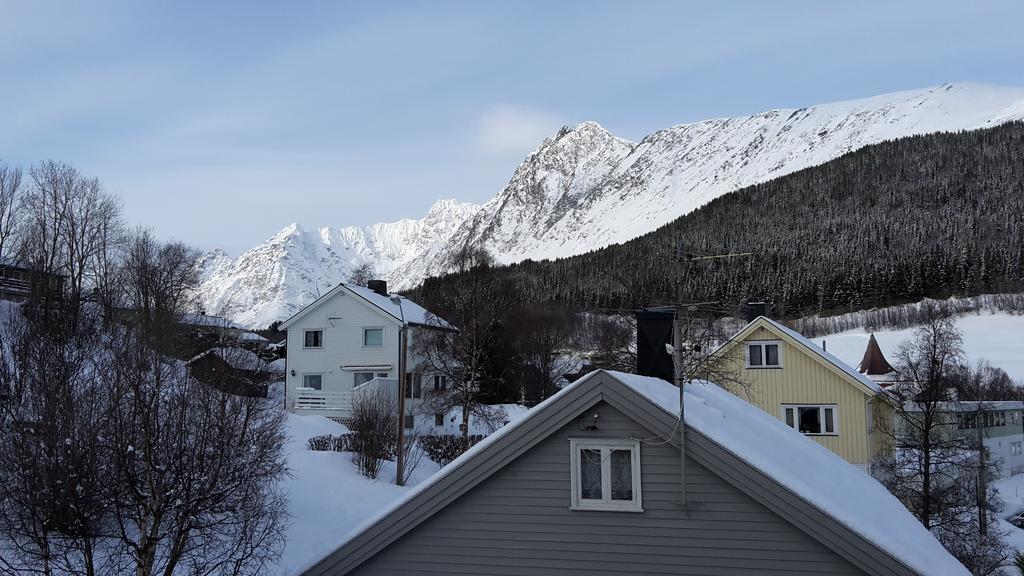 Lyngen