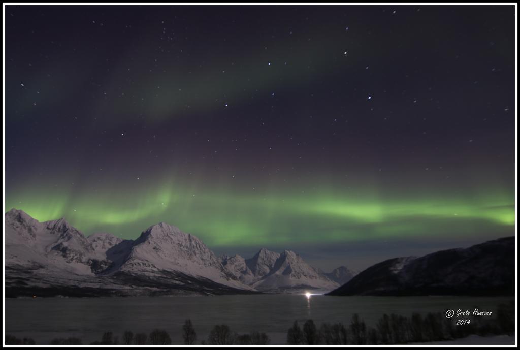 Lyngen *